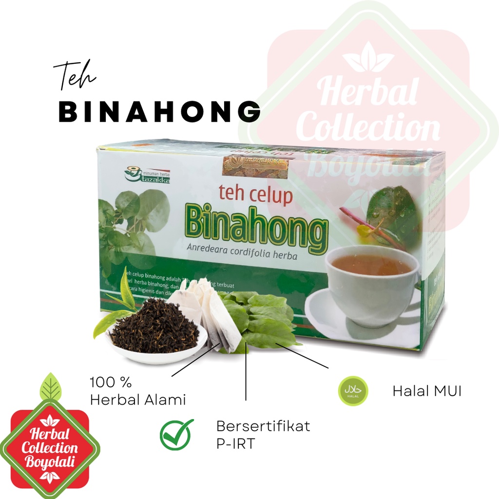 

Teh Daun Binahong Tazakka Herbal Kering Original Halal BPOM Isi 20 Kantung Celup Tea Bag Minuman Kesehatan Herbal Pengering Luka alami