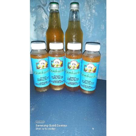 

kombucha original