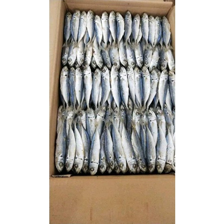 

Ikan Asin Layang Peda 500g