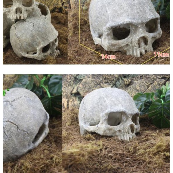 Hiasan Akuarium Fosil Tengkorak Manusia