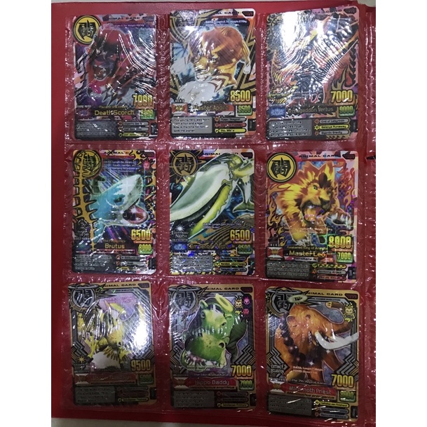 Jual KARTU ANIMAL KAISER KW (bisa request) | Shopee Indonesia
