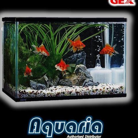 GEX Aquarium L