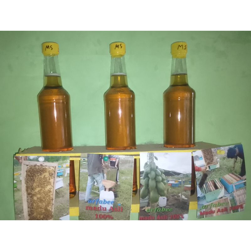 

madu asli lebah ternak