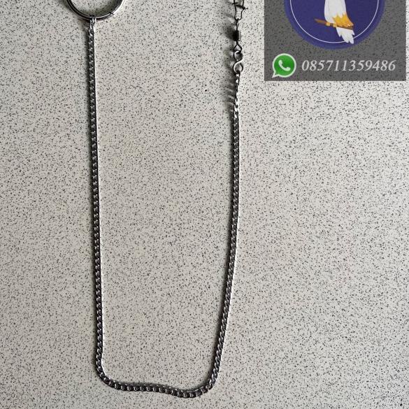 Rantai Rante Burung Falk Betet Sun Conure