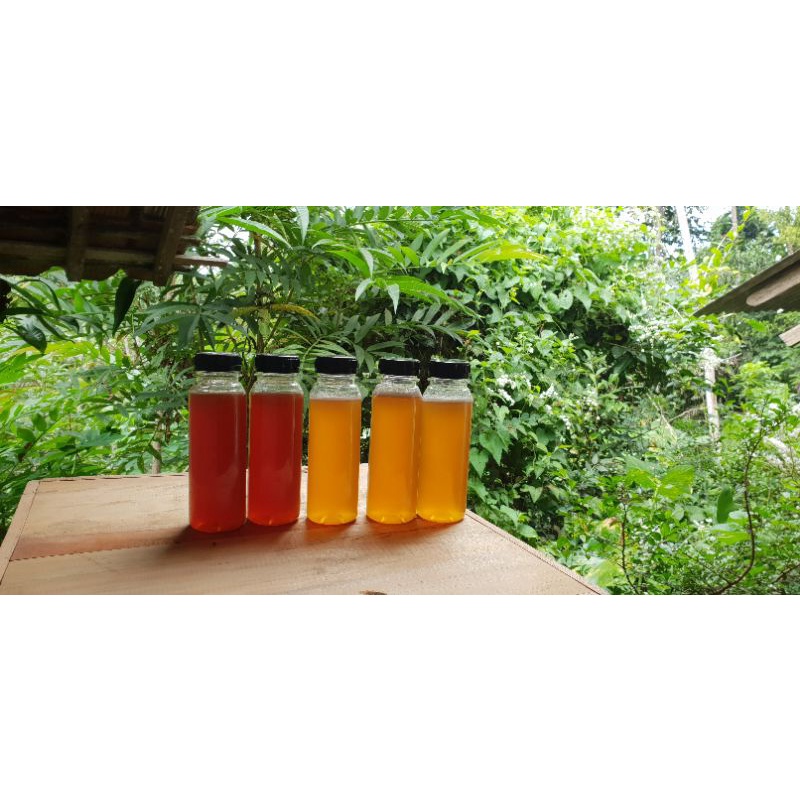 

madu trigona murni kemasan 250ml 5 botol