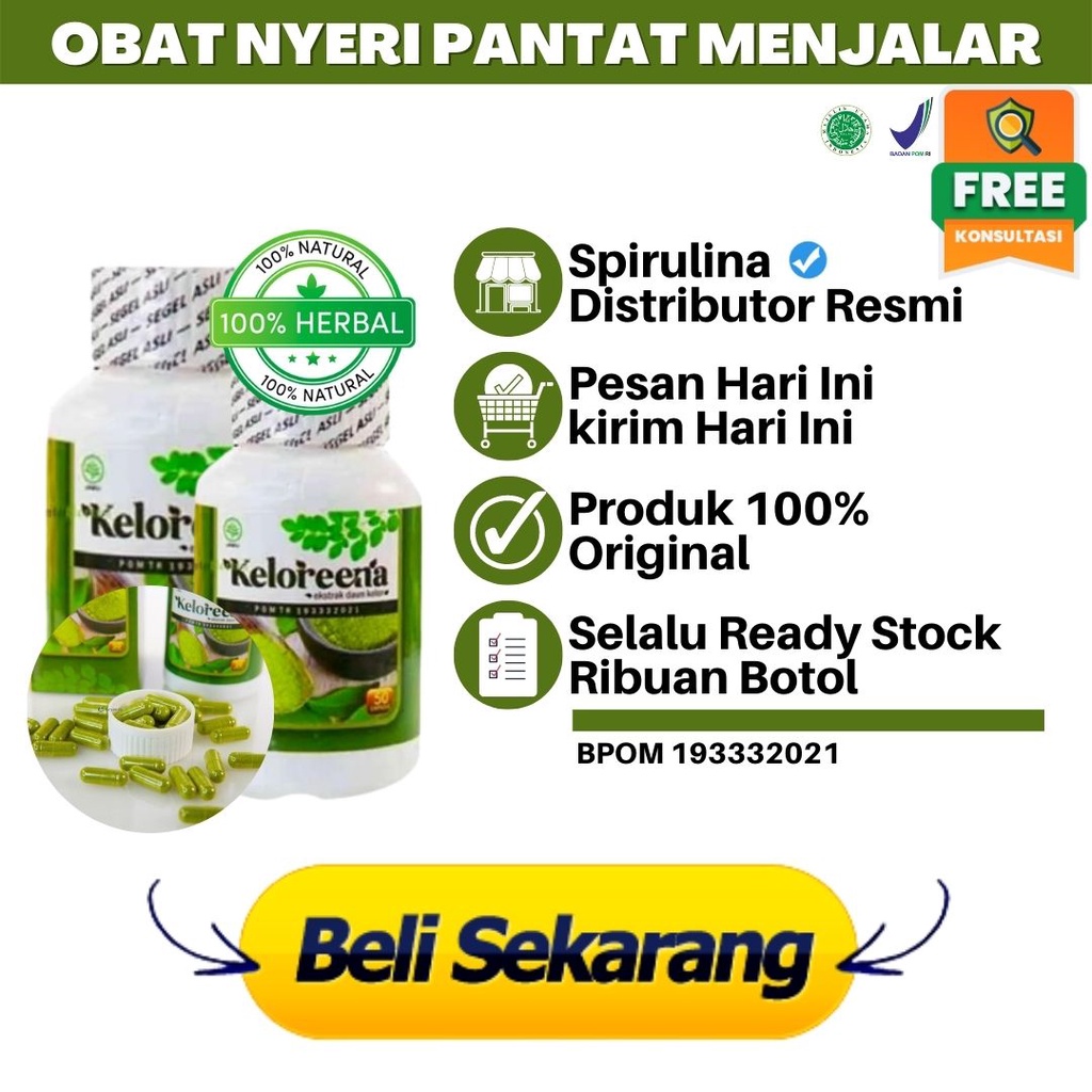 Obat Nyeri Bokong Menjalar Ke Paha Kaki Nyeri Pantat Menjalar Nyeri Otot Keloreena Ekstrak Daun Kelo