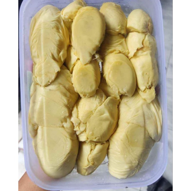 

durian Sibolga super