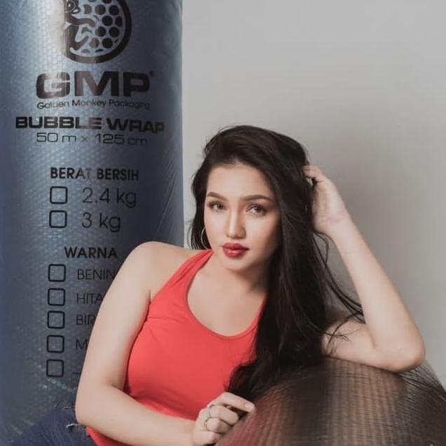 

BUBBLE WRAP GMP UNTUK PACKING MURAH
