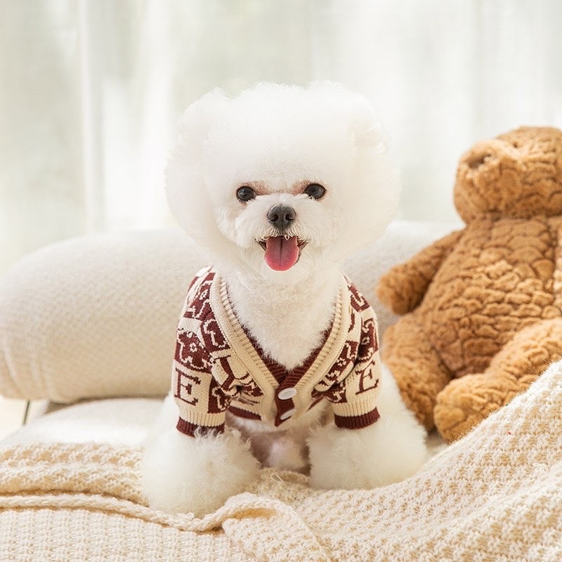 Louisdog Veutton sweater