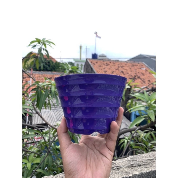 POT KING MADO 18 PUTIH WARNA WARNI Da 14,5 CM POT LUCU CANTIK MURAH