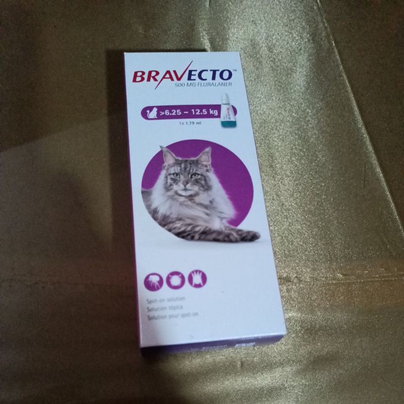 Bravecto Cat 6,25 - 12,5 kg