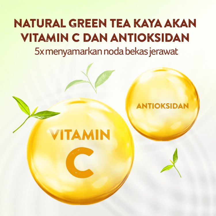 Citra Cream Wajah Green Tea 40 G - Moisturizer Kulit Berminyak, Anti Acne, Perawatan Jerawat