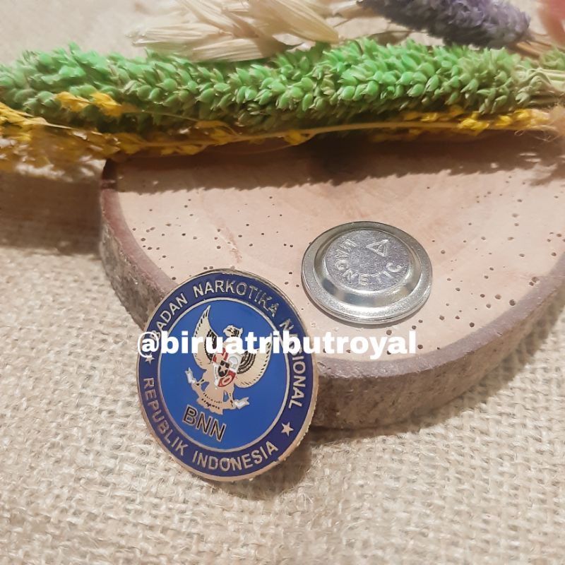 PIN BNN