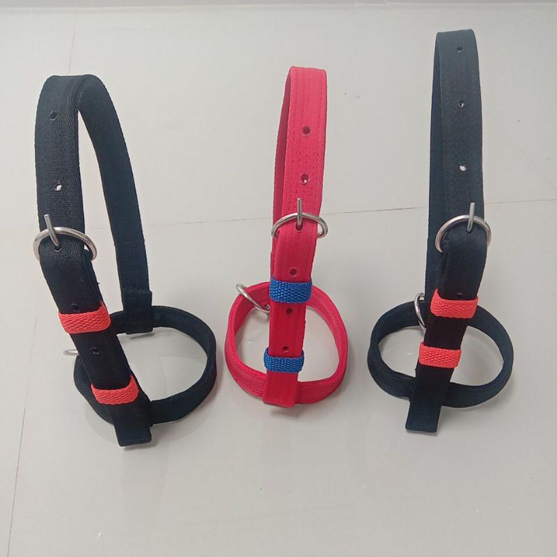 BRANGUS KAMBING/ HEAD HALTER KAMBING