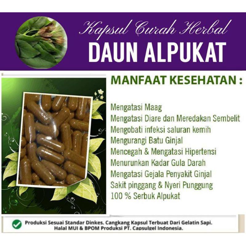 

Kapsul curah Daun alpukat isi 100 pcs