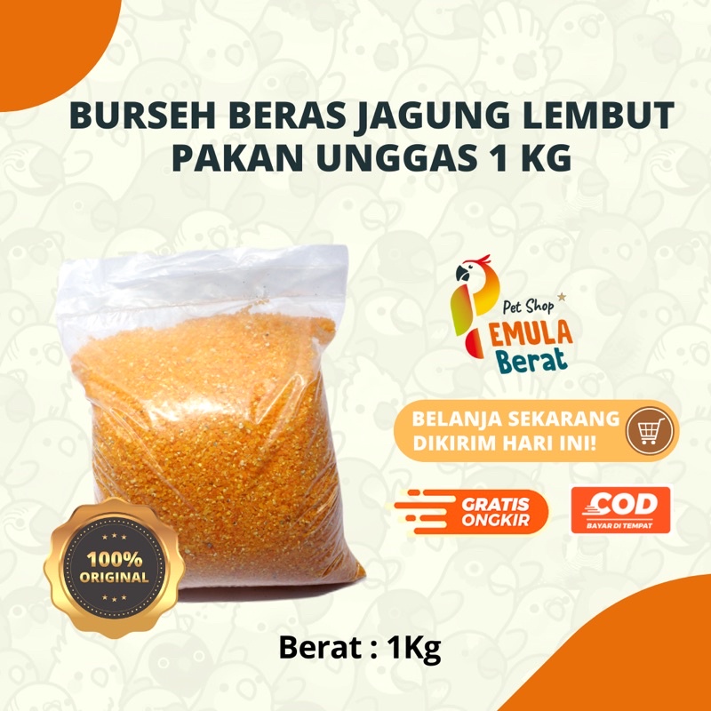 PAKAN BERAS JAGUNG 1 KG PAKAN AYAM BERAS JAGUNG 1kg  BURSEH SATU KILO BERAS JAGUNG LEMBUT  1 kg