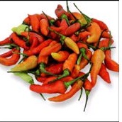 

cabe rawit merah perbks