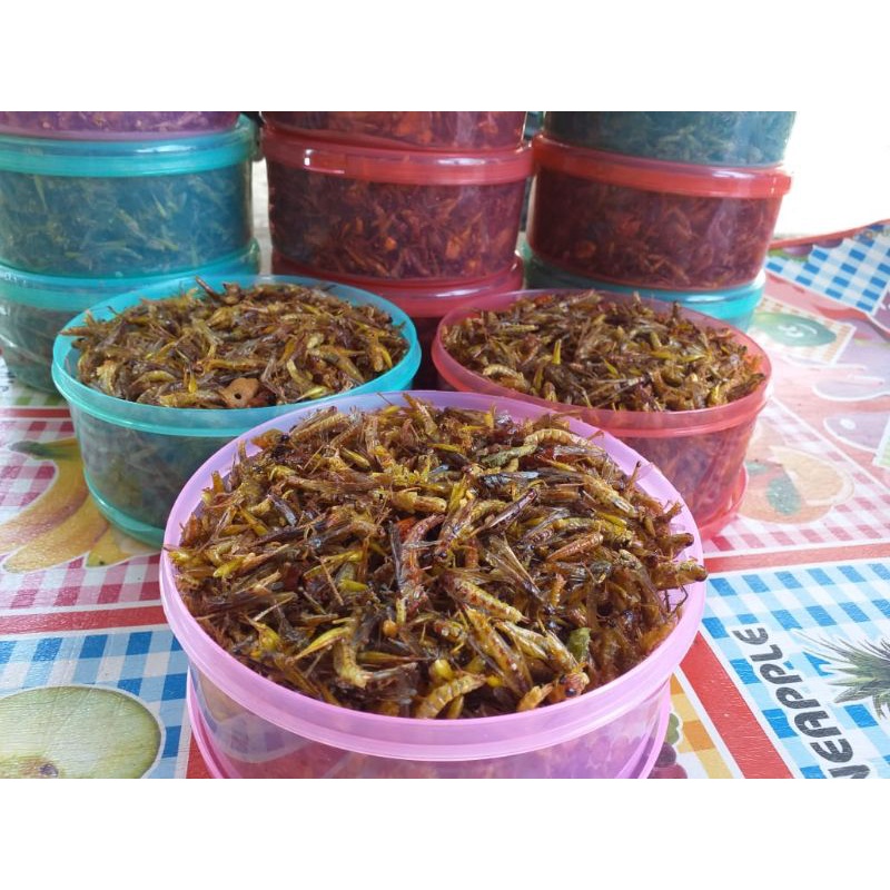 

Belalang goreng 45000k