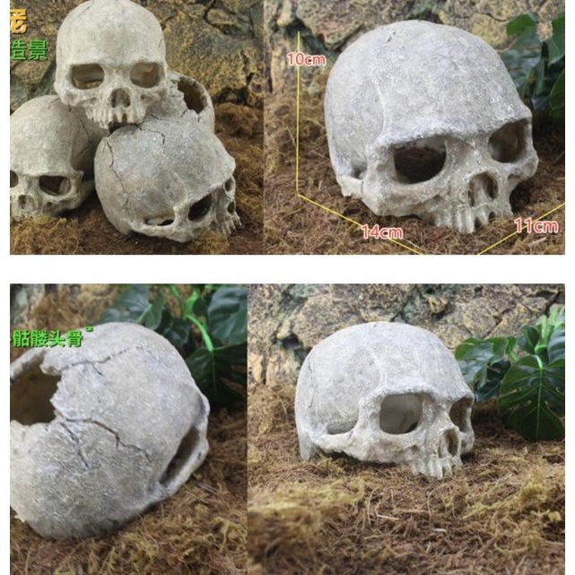Hiasan Akuarium Fosil Tengkorak Manusia