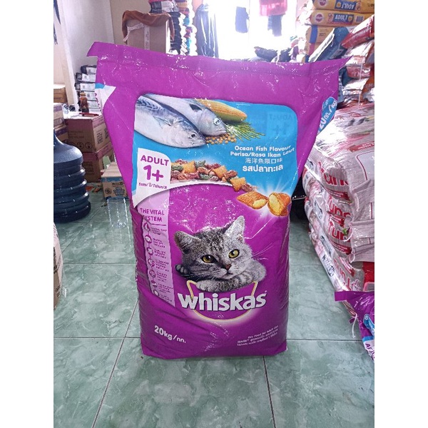 GRAB/GOJEK WHISKAS ADULT OCEAN FISH 20KG / WHISKAS DRYFOOD/ WHISKAS