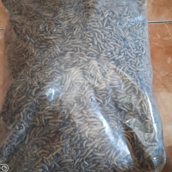 maggot bsf kering 1kg / manggot oven / manggot bsf