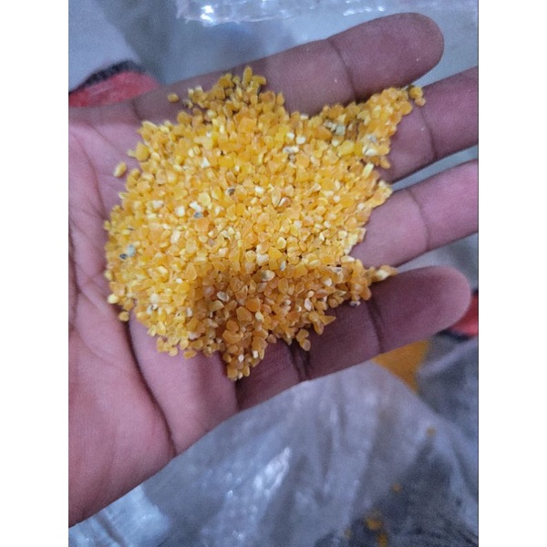 jagung alus jagung menir kiloan