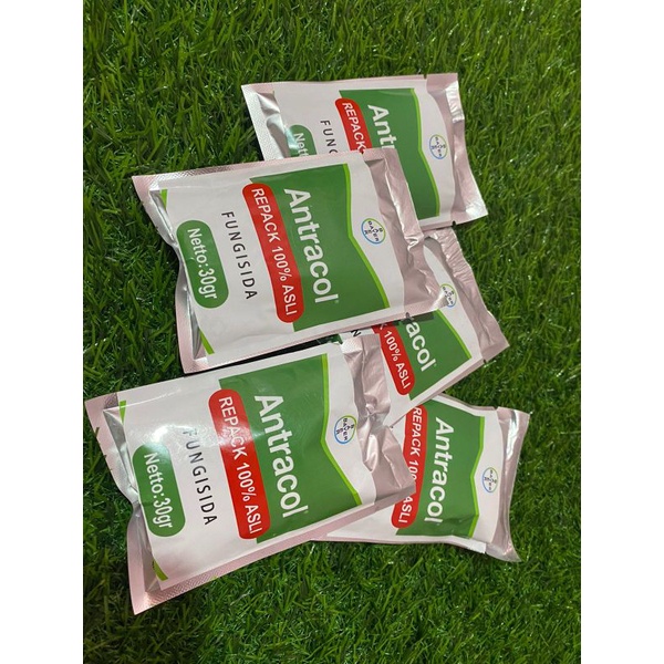 fungsida antracool repack