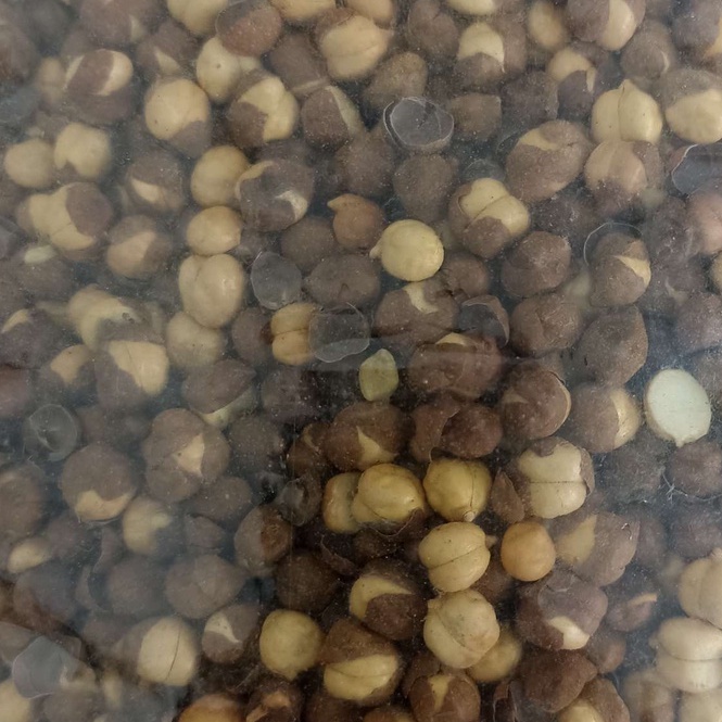 

Kacang Arab Kulit Gurih / Kacang Chickpeas 1 kg Oleh - oleh Haji Umroh