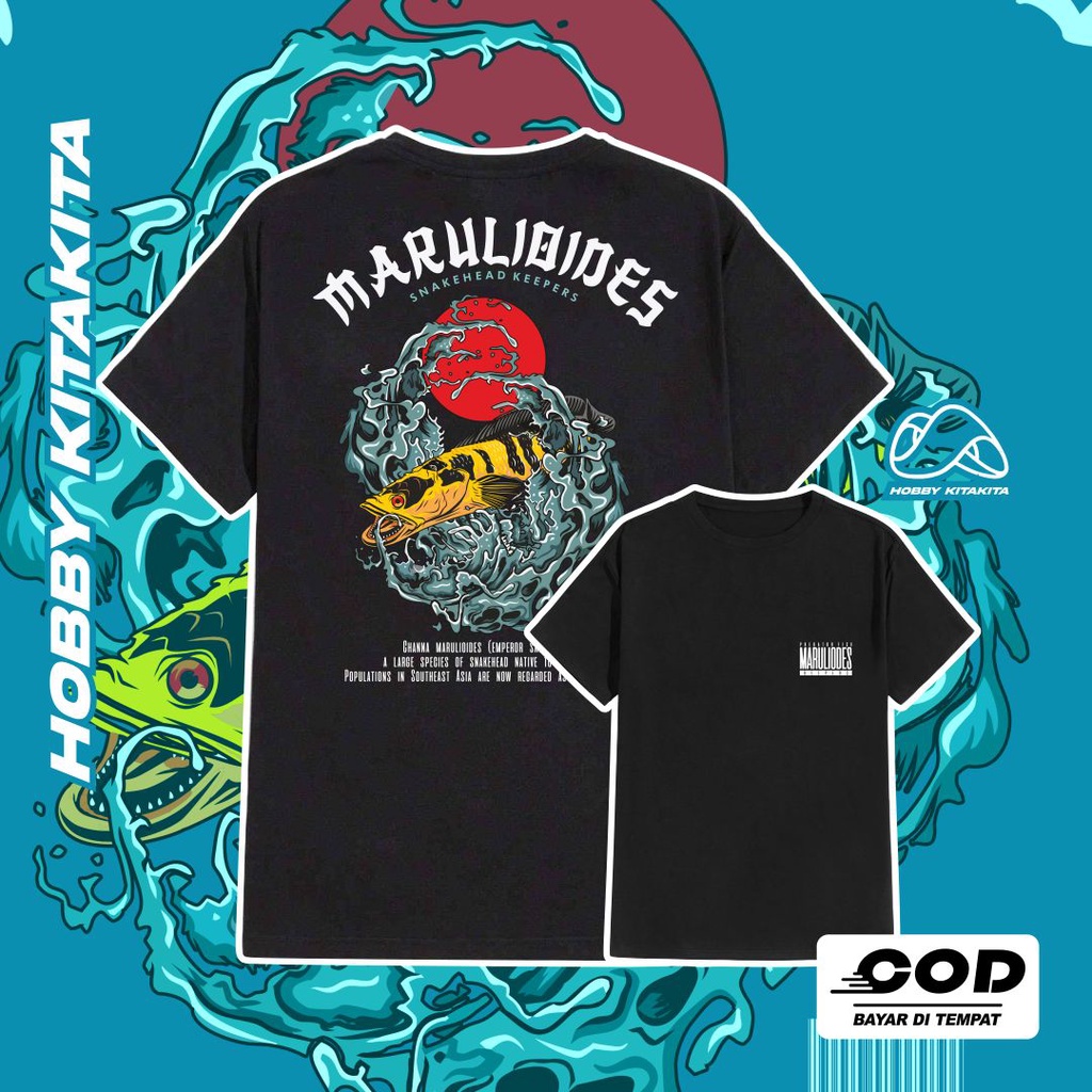 HBKT Kaos Channa MARULIOIDES Yellow Sentarum Snakehead Keepers | Hobbykitakita