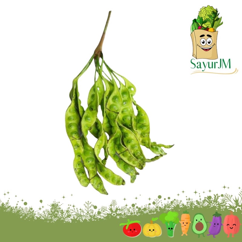 

SayurJM - Petai per papan / per tangkai / Pete Bersih / Sayur Segar / Sayuran Segar