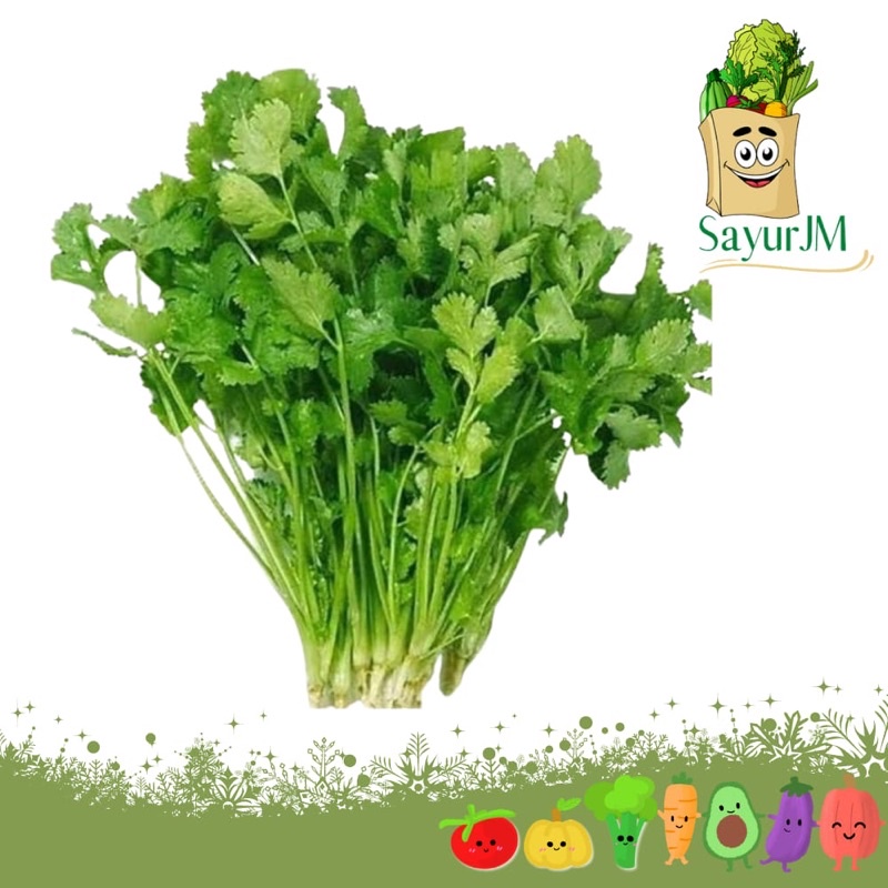 

SayurJM - Daun Ketumbar 1 tangkai/ Yensui / Wansui / Sayur Segar / Sayuran Segar