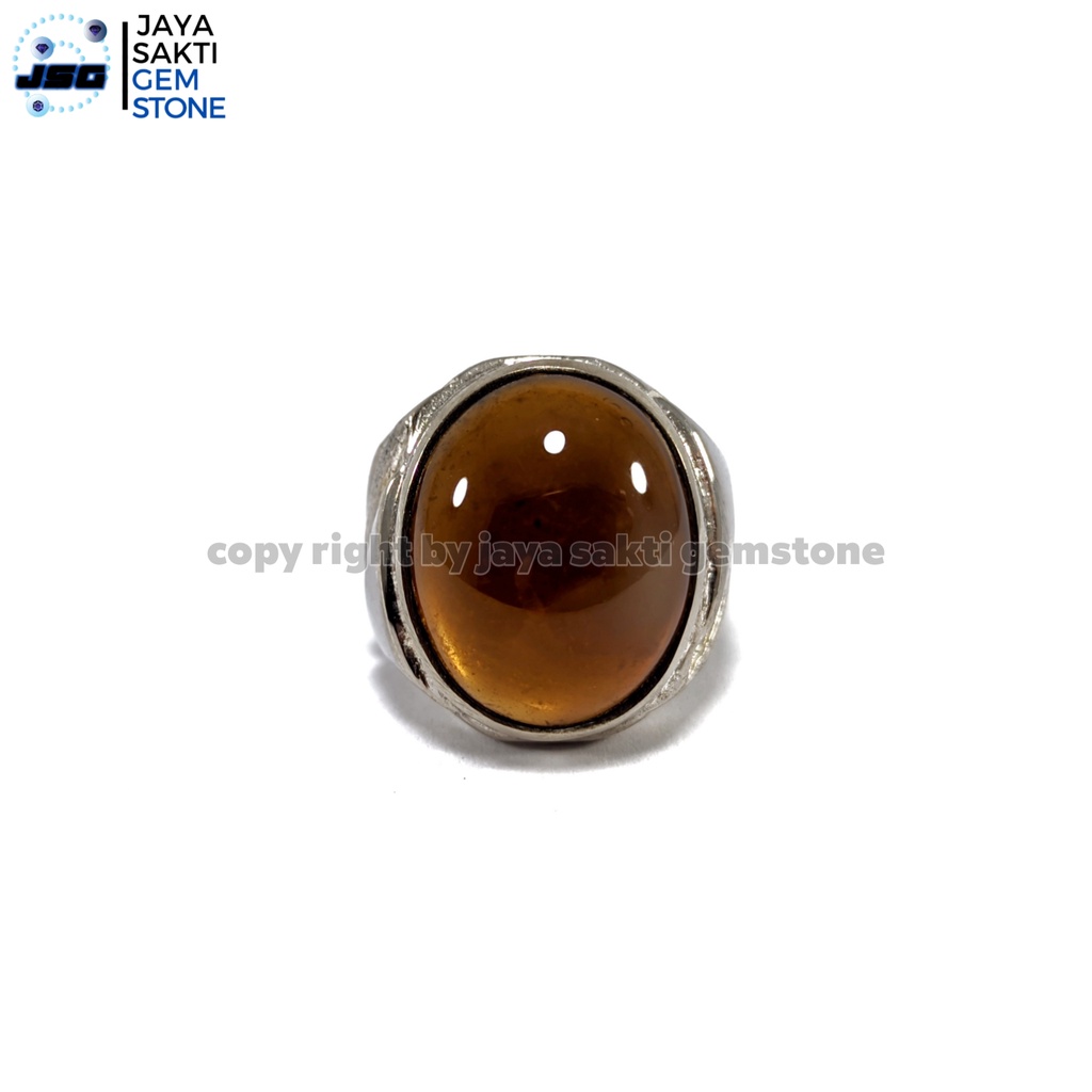 Natural Batu Akik Bio Solar kecoa Giwang SP01