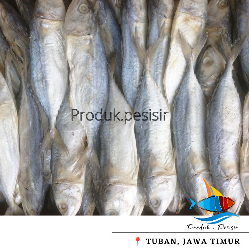 

Peda Putih Asin Super > 250 gram