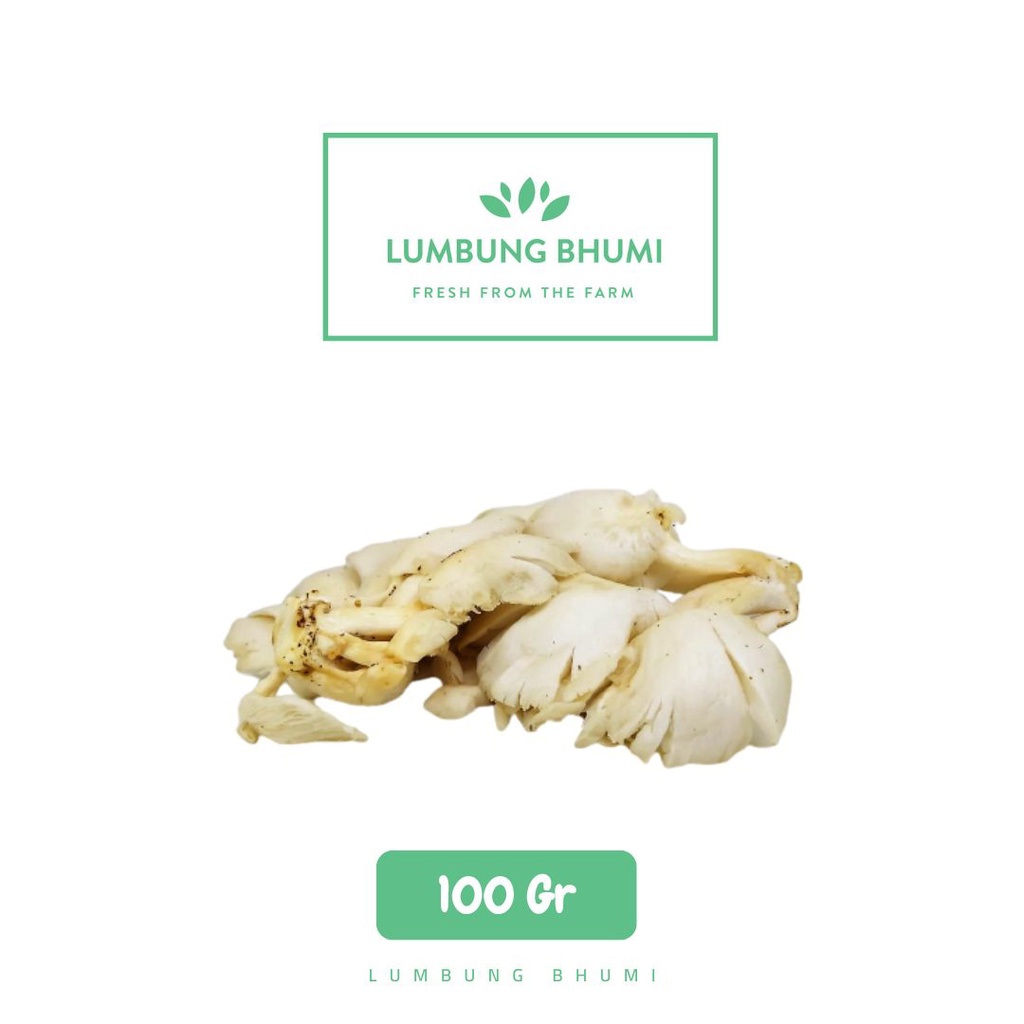 

Lumbung Bhumi - Jamur Tiram 100 Gr ( Sayur Curah )