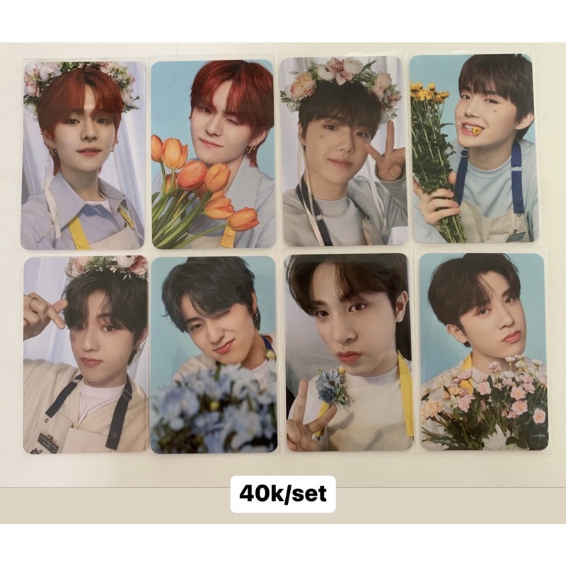 photocard pc treasure blooming tincase set - yoshi, doyoung, haruto, junghwan