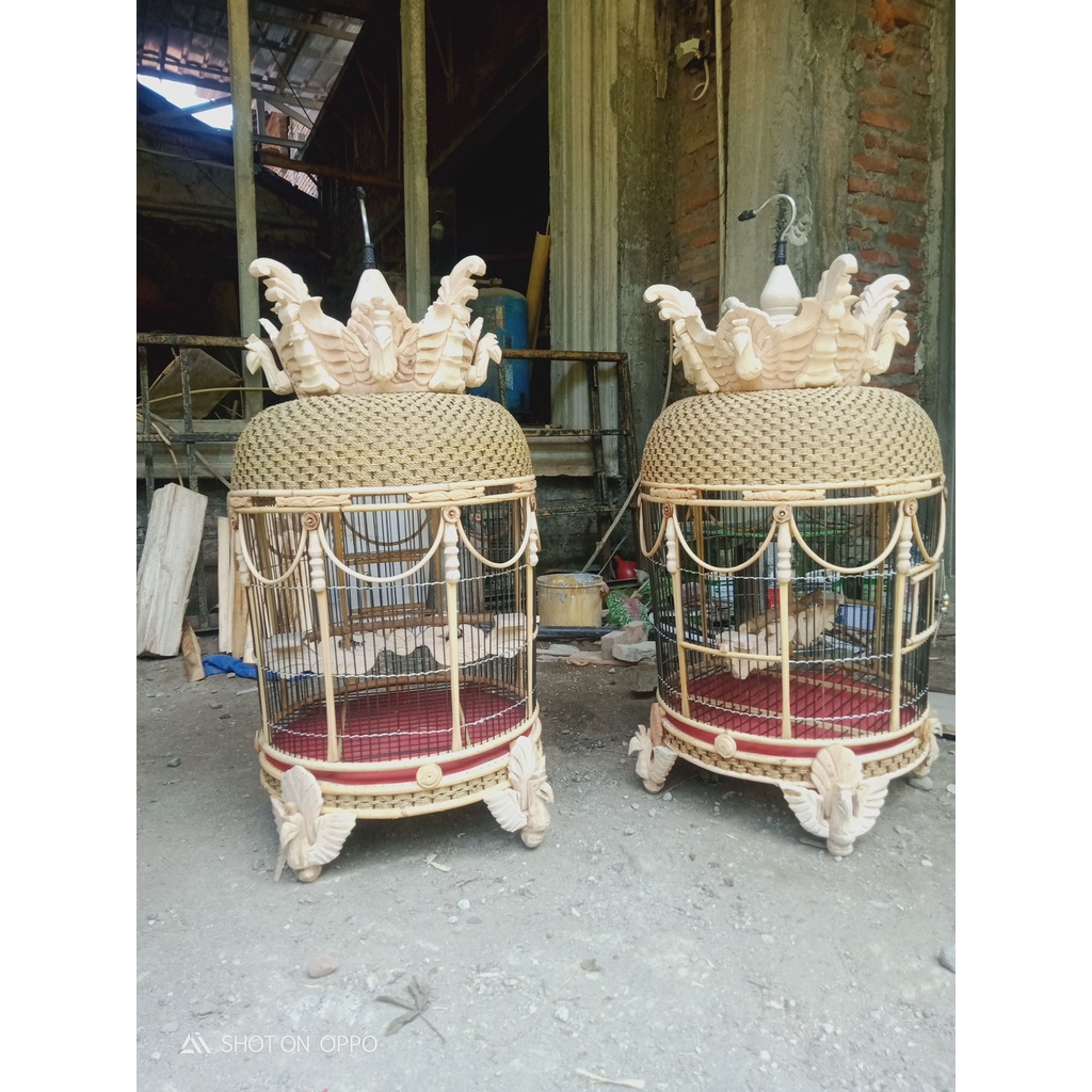 Sangkar Kutut Mahkota Merak Tebalan