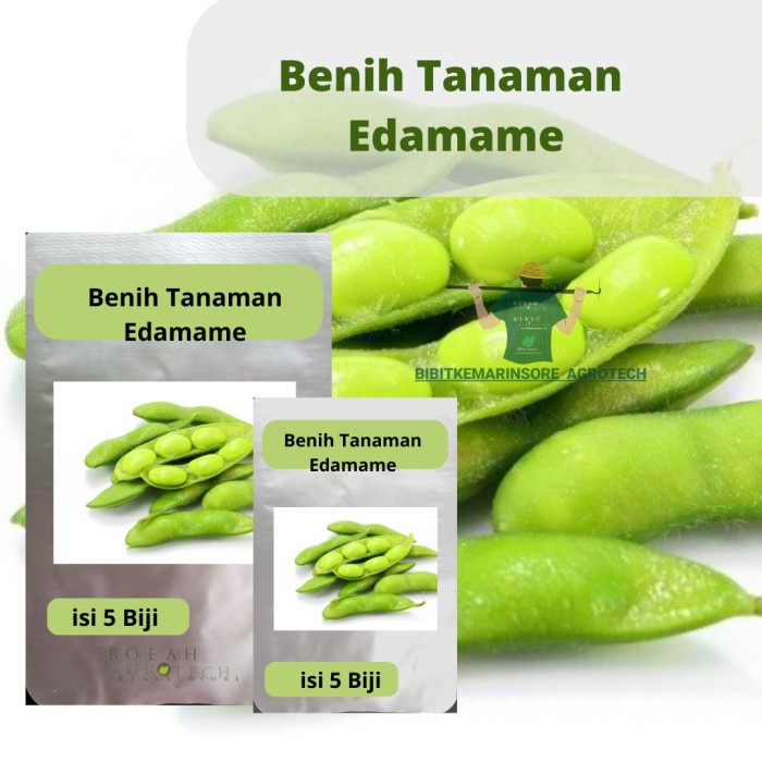 Benih Tanaman Edamame Kualitas Unggul