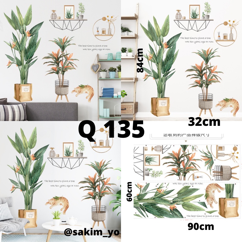 WALL STICKER STIKER DAUN POT POHON WALLSTIKER WALL STICKER DINDING WALLPAPER WALPAPER DAUN WALSTICKER WALSTIKER RUMPUT DEKORASI RUMAH TEMBOK KAMAR MANDI RUANG TIDUR DEKOR DAPUR TAMAN AESTHENTIC GUDANG Q 111 135 89 112 WALLPAPER DAUN