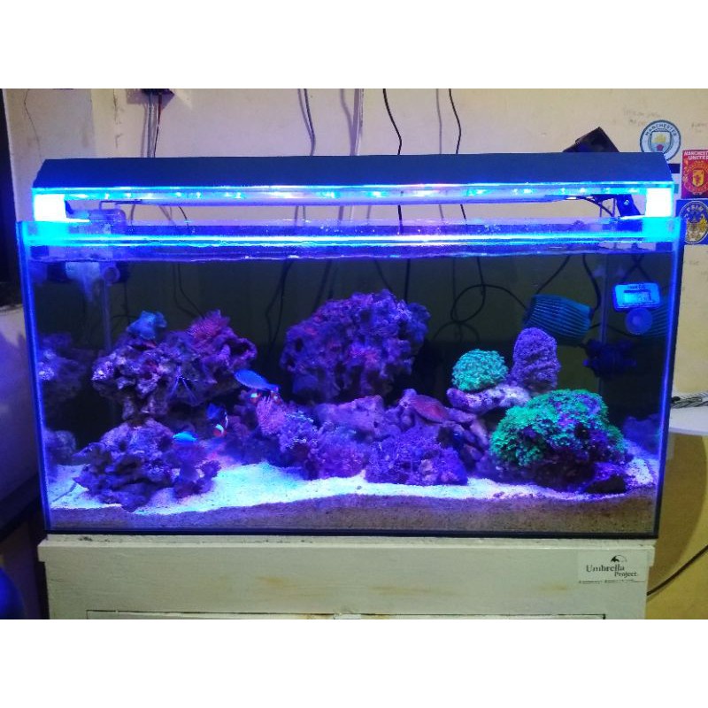 Lampu Aquarium 20-30 cm  Frame Cermin