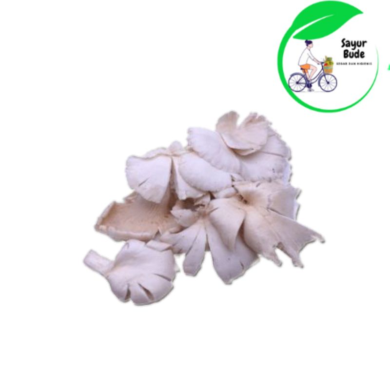 

Jamur Tiram Bersih dan Segar - 250 gr