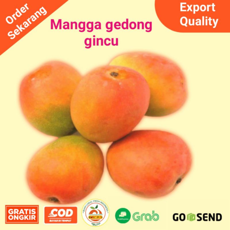 

BUAH MANGGA GEDONG GINCU MANIS & SEGAR HARGA UNTUK 1KG