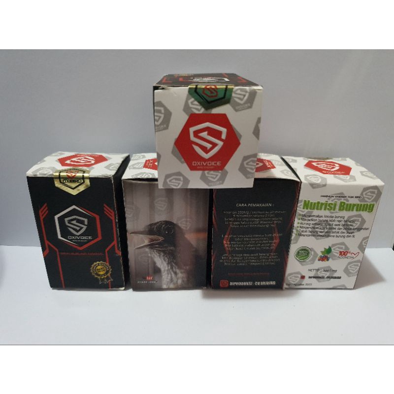 oxi voice energy oxivoice energy memaxsimalkan kondisi burung