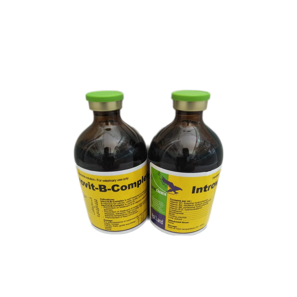 TMC / Introvit B Complex / 100 ml / Injeksi Vitamin B Kompleks / Vitamin B kompleks Untuk Hewan