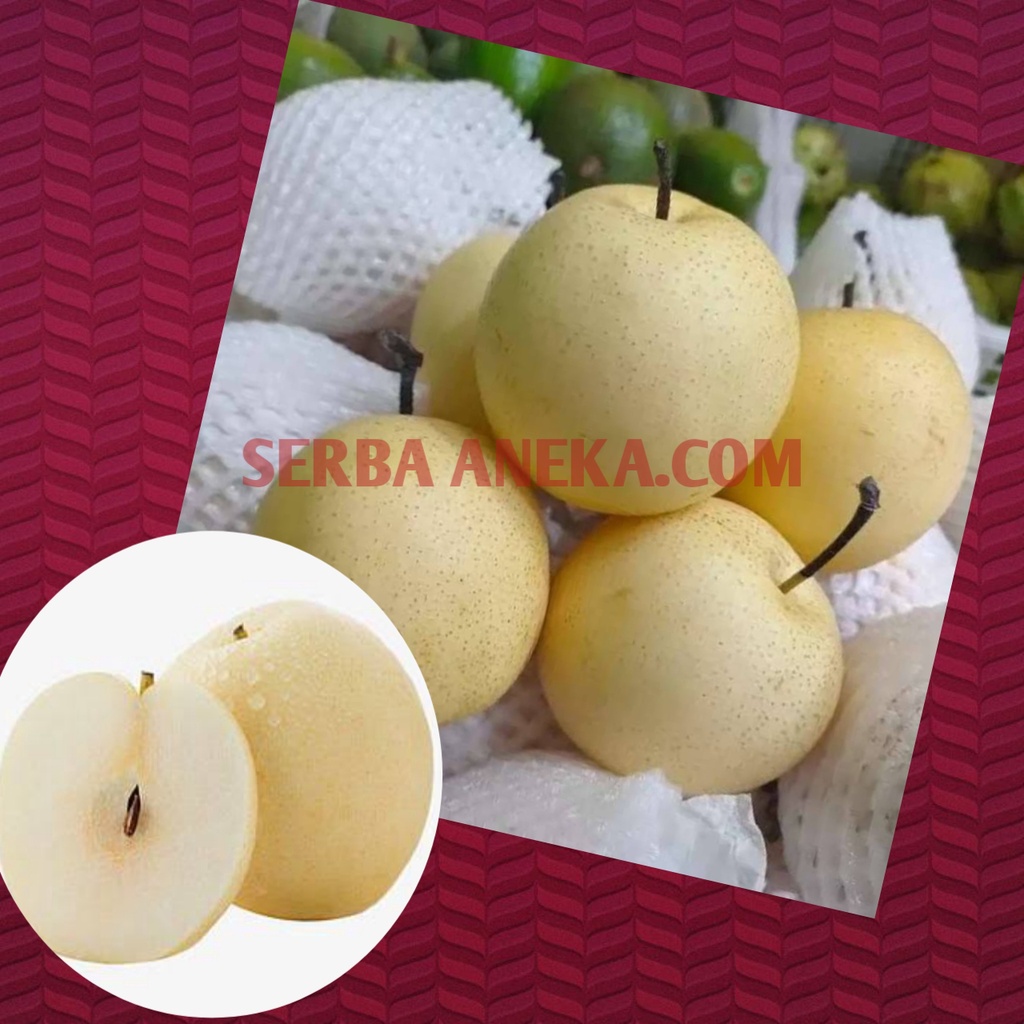 ( 1 KGM ) buah segar pear madu buah segar pear manis pear murah