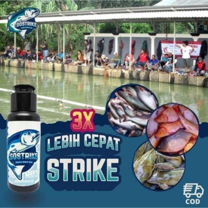 Umpan Gostrike Essen Mancing Lebih Cepat Strike / Go Strike Essen Mancing