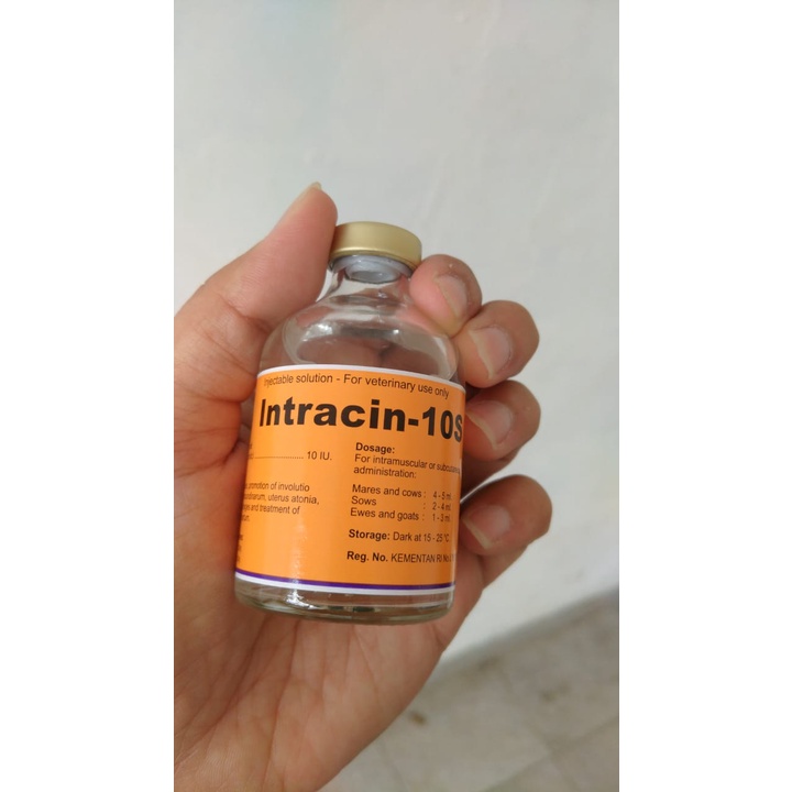 INTRACIN 10S 50ml - Hormon Perangsang Kontraksi Uterus Kelenjar Susu Hewan