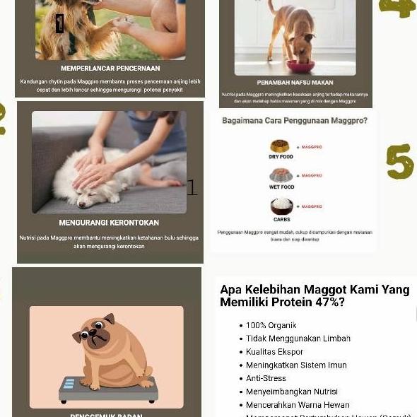 Protein Anjing MAGGPRO #supplemenanjing