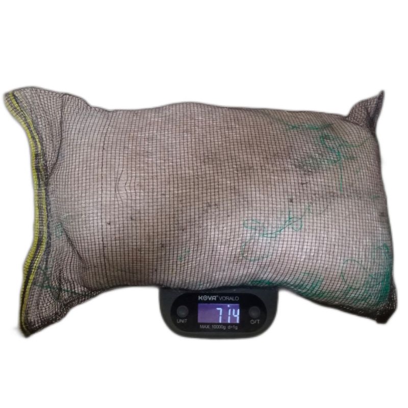 jaring nelayan media filter koi size 50x30