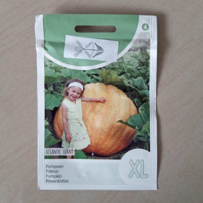 Bibit - Benih Pumpkin Atlantik Giant - labu raksasa