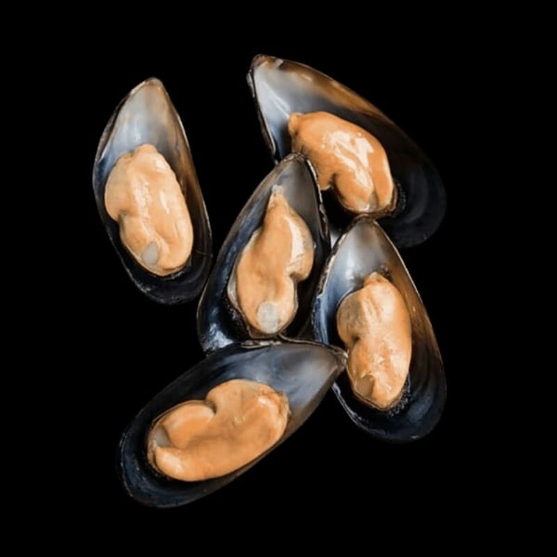 

BLACK MUSSEL / KERANG HITAM @1KG